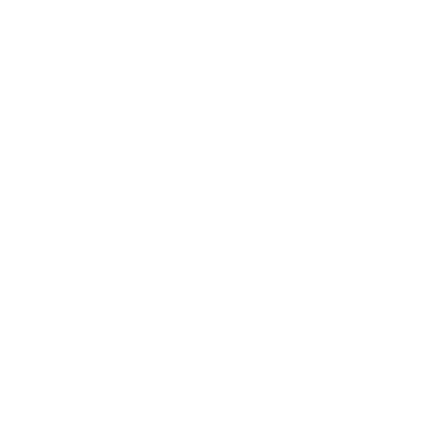 Website Perth